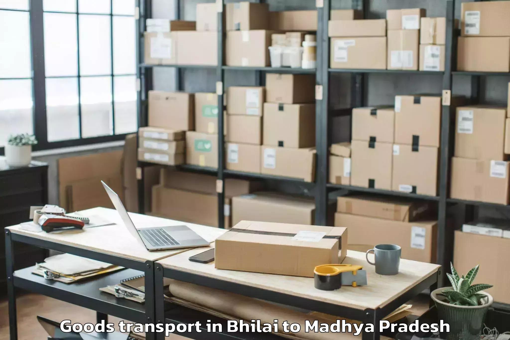 Trusted Bhilai to Guna Goods Transport